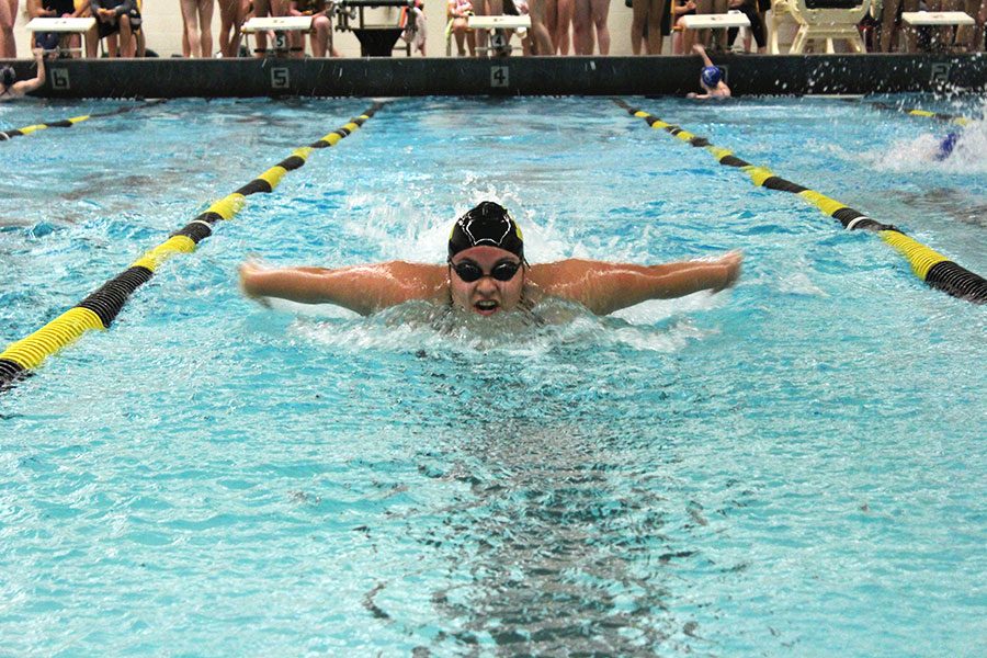 Swimming fly senior Nadia Montelongo comes up for a breath. Nadia was swimming in the 200 medley.