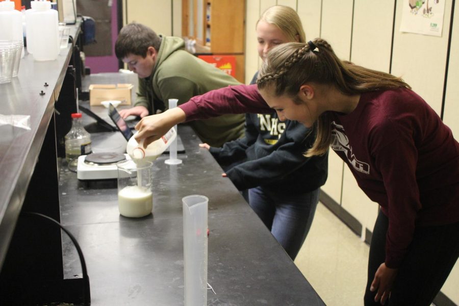 Sophomore Gracie Rains pours milk into a beaker before heating it to 190 degrees.