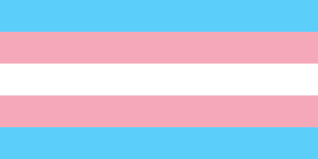 Reflecting on Transgender Awareness Week