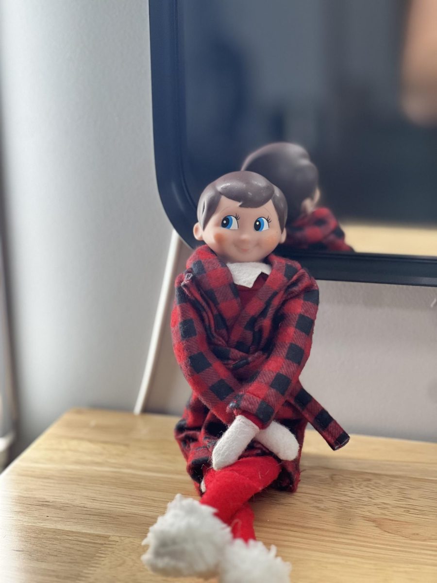 Magic of the Elves: NHS Elf on the Shelf Hall of Fame