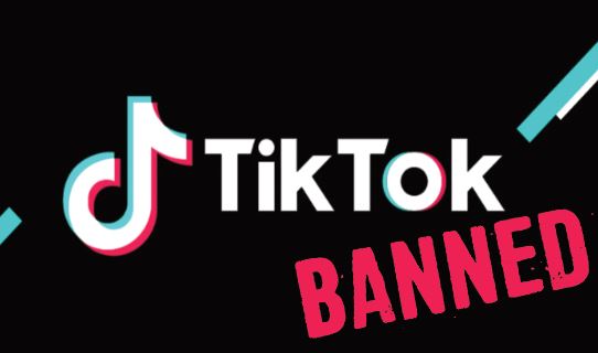 NHS students react to possible TikTok ban