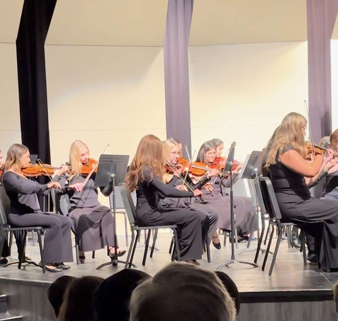 The Newton Orchestra performs at their concert this fall.