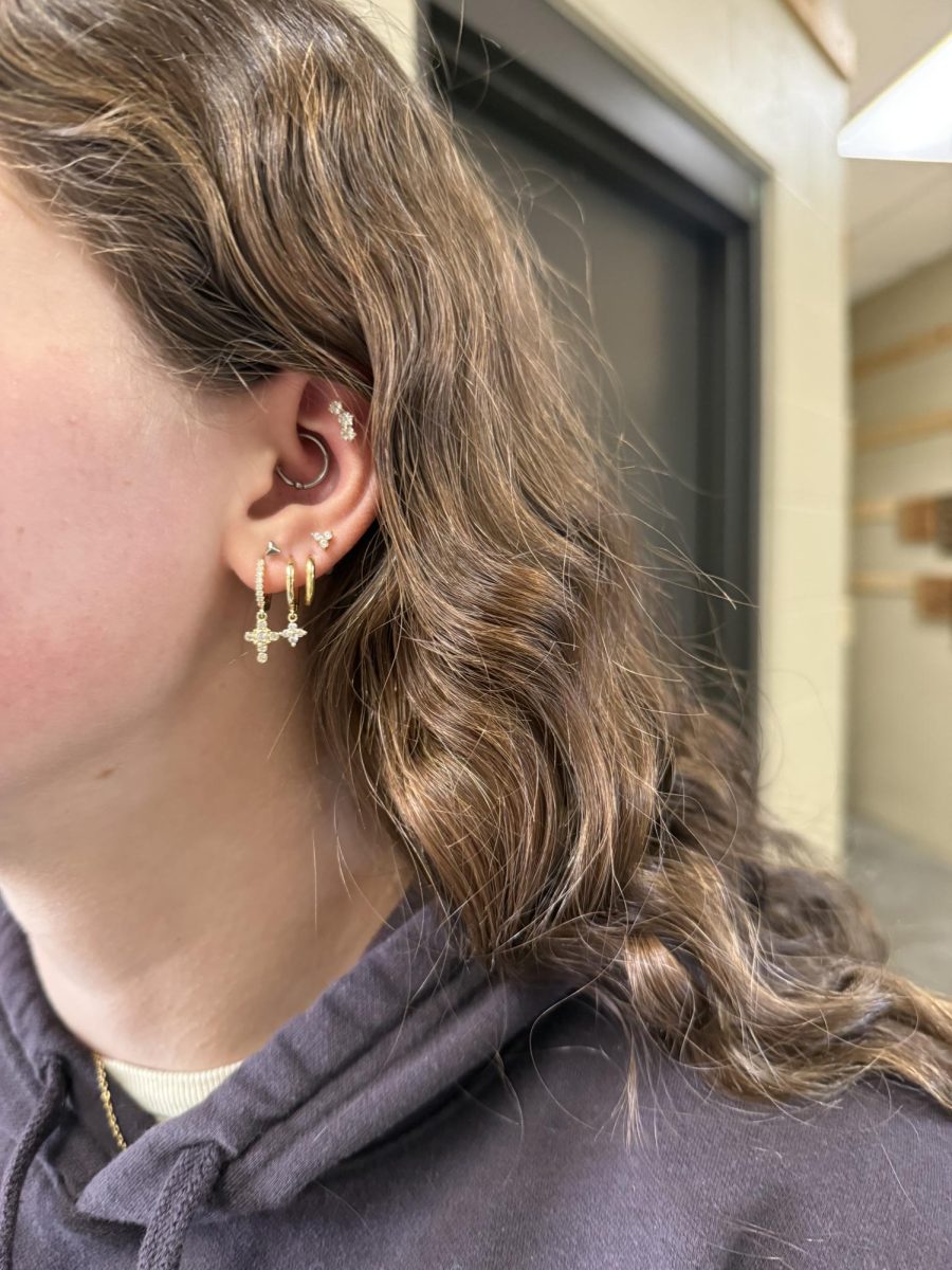 Sophomore Delaney Fuller’s piercings catch the light, shimmering and turning heads.