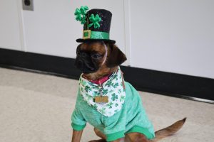 Carl sports a St. Patrick's outfit